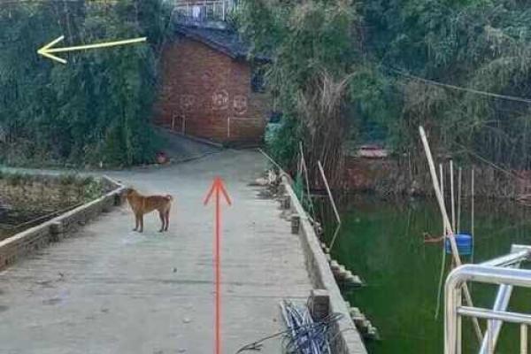 房子后面比路低影响风水吗