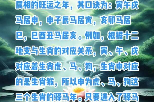 在招财商业风水中怎么提高财运