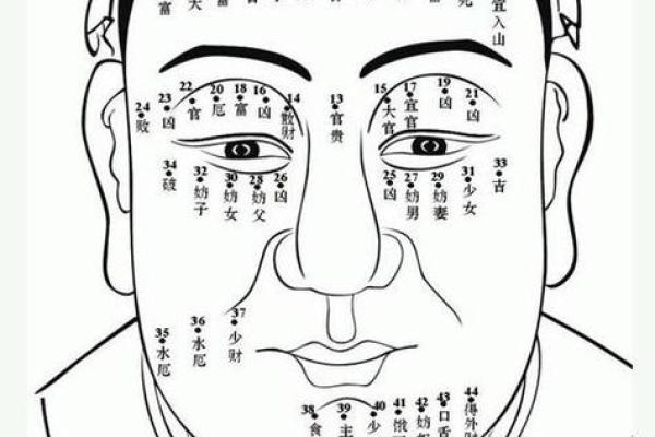 风水脸部哪里的痣不能点眉毛的痣