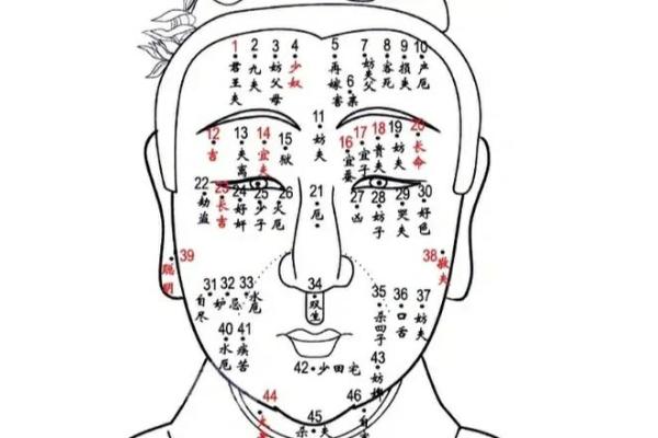 风水脸部哪里的痣不能点眉毛的痣