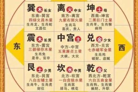 紫薇斗数网上命例