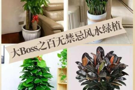 在招财商业风水中怎么提高财运