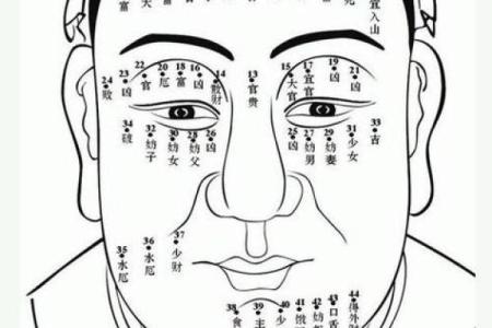 风水脸部哪里的痣不能点眉毛的痣