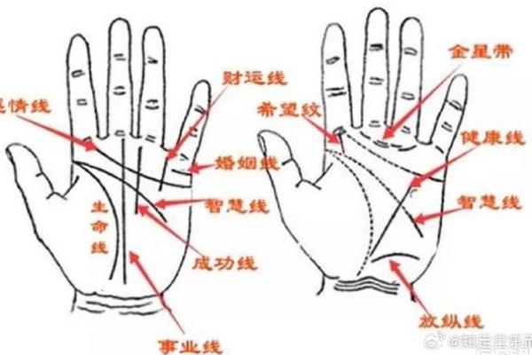看手相算命图解：掌线