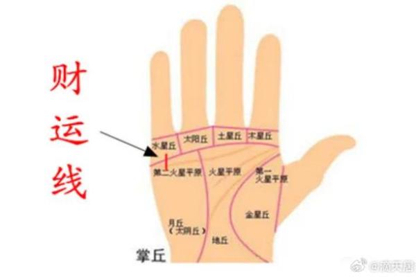 看手相算命图解：掌线