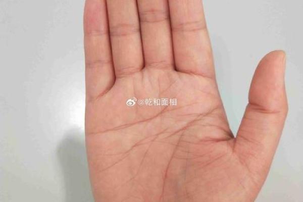 手型算命：金型手人的性格与命运