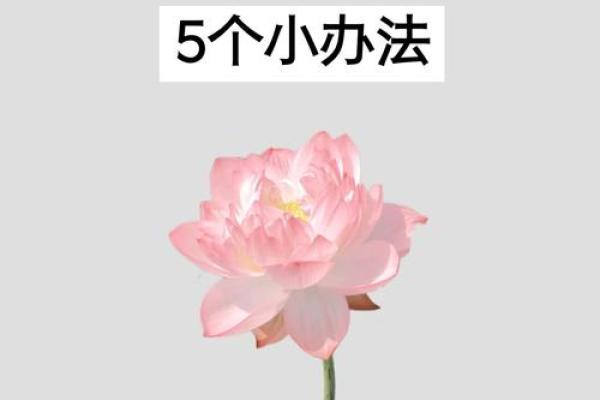 怎么从风水上提升爱情运势小窍门