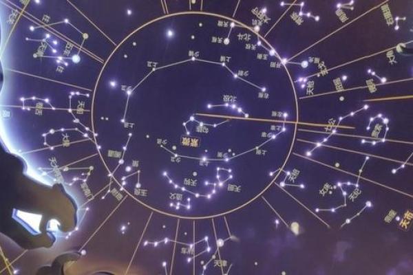 紫薇斗数寿命的星星