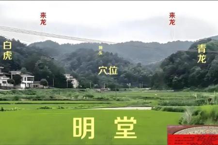 最发人丁的坟地风水
