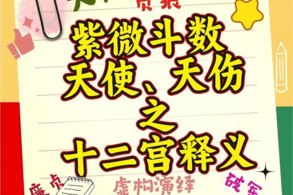 紫微斗数之：助星及辅星