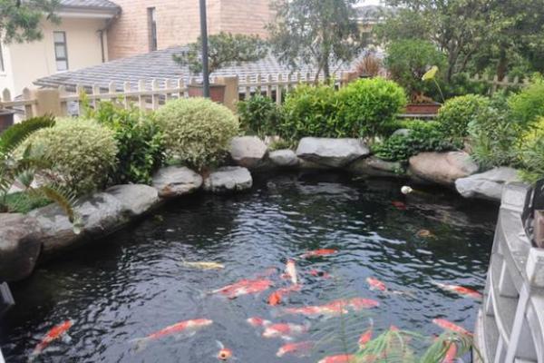 家庭鱼池风水 家庭鱼池风水摆放