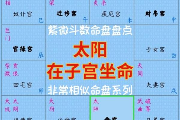 紫薇斗数打印出来命盘怎么看