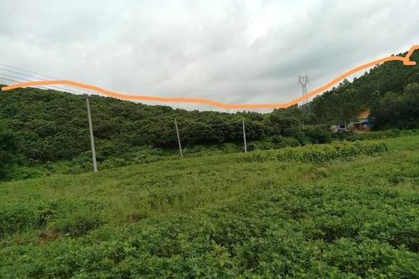 风水关系_是不是跟祖坟风水问题有关系