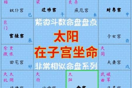 紫薇斗数打印出来命盘怎么看