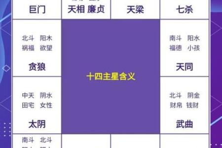 紫微斗数十四主星：太阴星概论