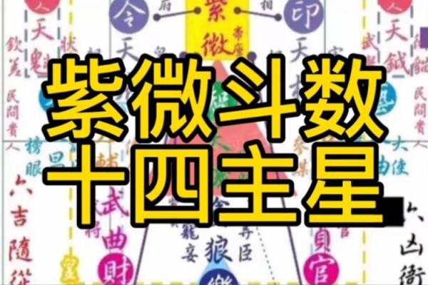 紫薇斗数初级