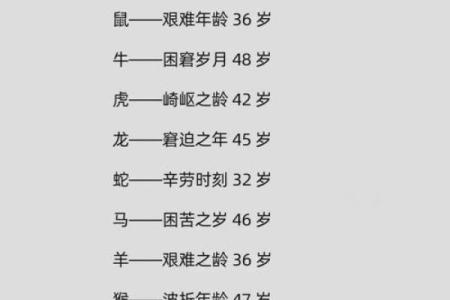 风水12生肖寿命最长的是什么动物是它吗