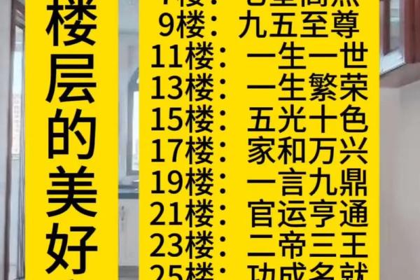 窗户的单数双数风水