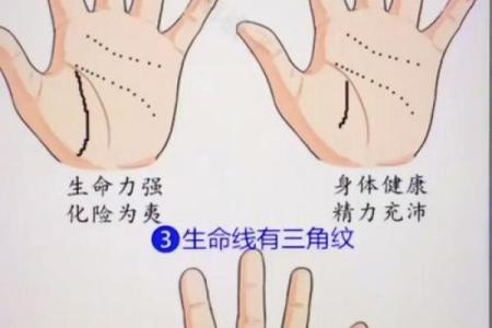 风水生命线分叉代表什么好不好