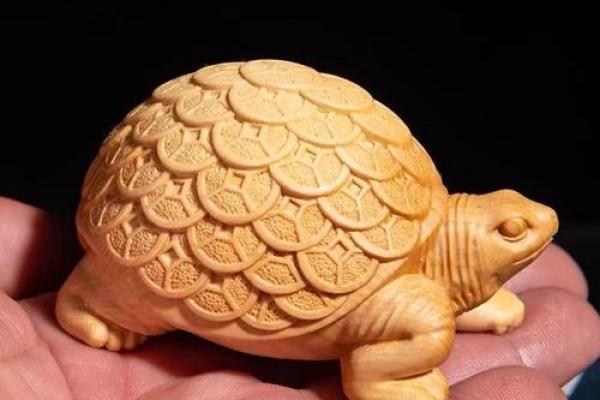 风水乌龟壳的功效与作用