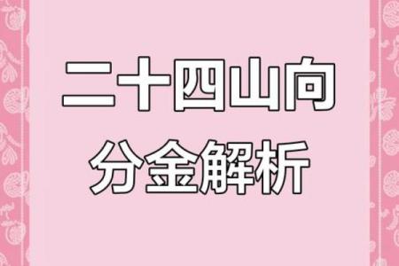 风水师必备：24山分金吉凶断语