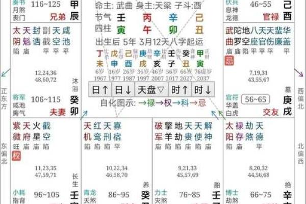 紫薇斗数主要看哪里