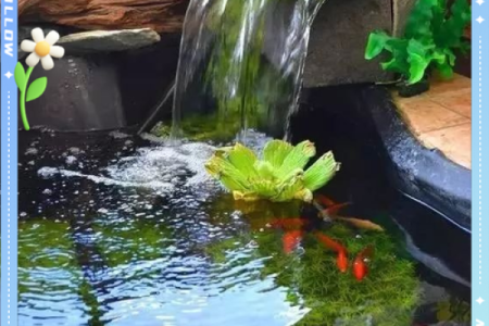 房子门口水池风水