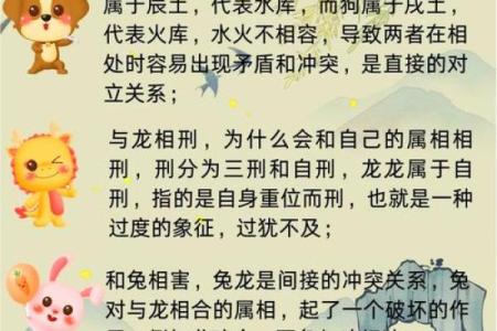 夫妻都属龙,孩子属兔,客厅挂什么画风水好？