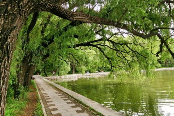 沈阳风水_东陵北陵是世界文化遗产吗