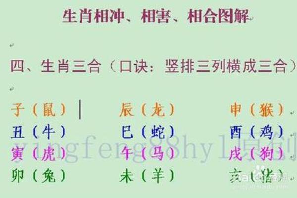 女人最佳风水属相