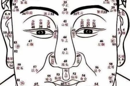 祖坟墓地风水好“五大征兆 ”