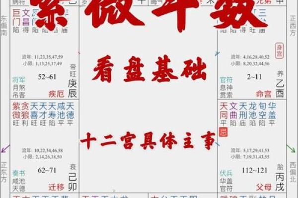 怎么排紫薇斗数