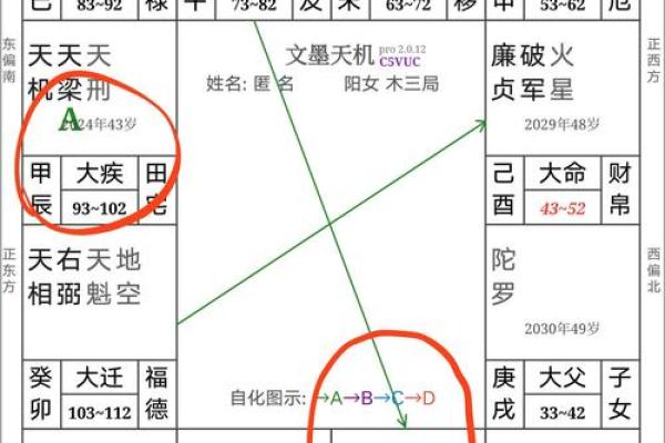 紫薇斗数四化表