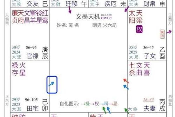 紫薇斗数四化表
