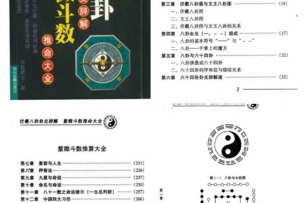 伏羲紫薇斗数
