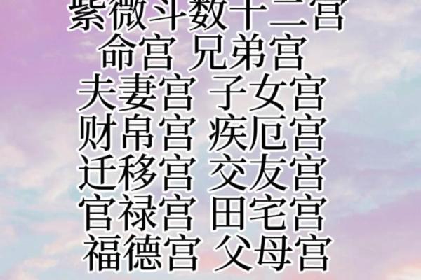 紫薇斗数看事业宫