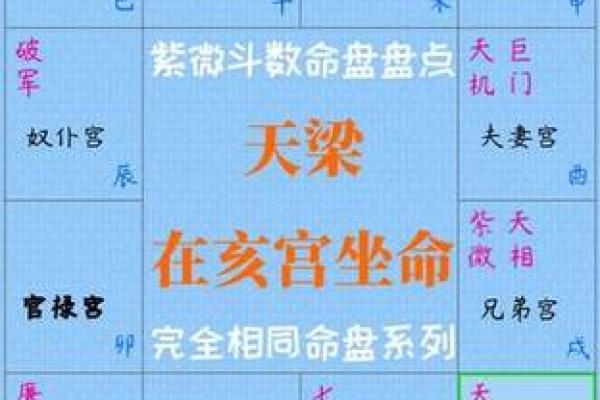 紫微斗数之财帛宫在亥宫 ,是什么意思? 紫微斗数之财帛宫在亥宫 ,是什么意思?