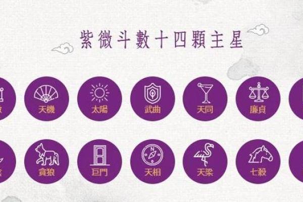 今天我们来聊聊紫斗中的天梁星，你的天梁星在哪呢#紫微斗数