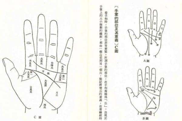 手相算命总论 手相算命大揭秘