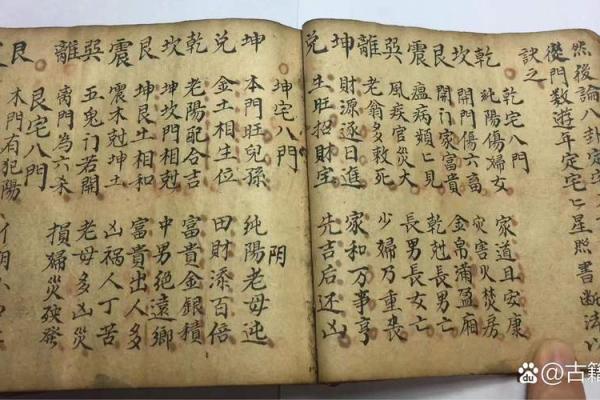 九个字算命好不好