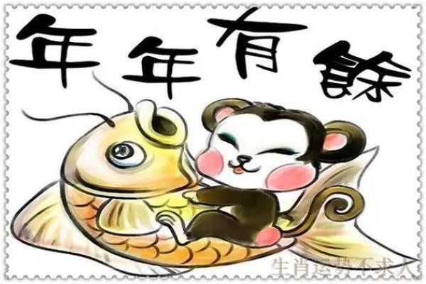 乌龟找财位,乌龟放在哪个方位旺财