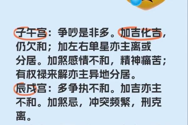 紫薇斗数里的巨门星啥意思