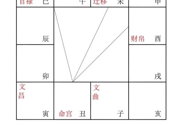 紫薇斗数亥宫