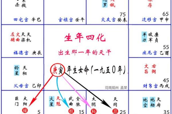 图解紫薇斗数禄忌
