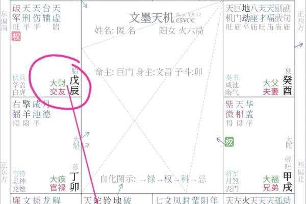 紫薇斗数财帛星