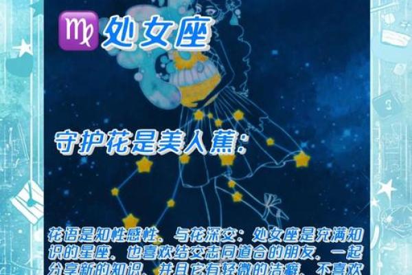 十二星座专属守护花都有哪些呢