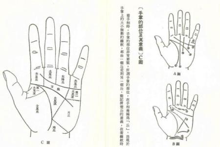 手相算命总论 手相算命大揭秘