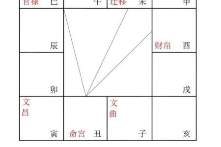 紫薇斗数亥宫