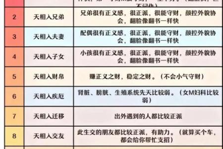 紫微斗数术语解释之：正星、辅星