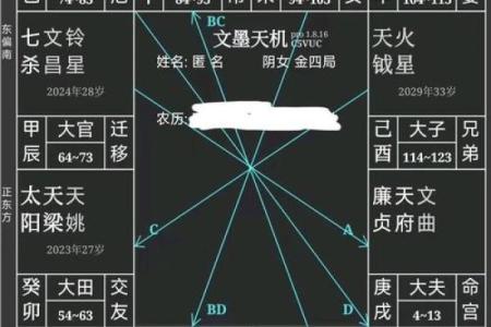 图解紫薇斗数禄忌